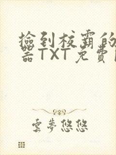 捡到校霸的遥控器TXT免费阅读