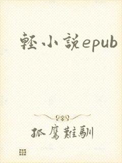 轻小说epub