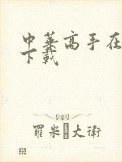 中华高手在异世下载