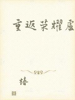 重返荣耀卢正雨