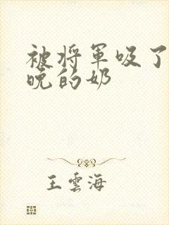 被将军吸了一整晚的奶