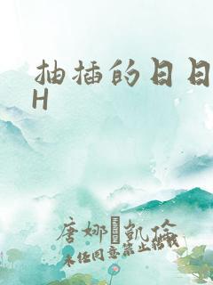 抽插的日日液液H