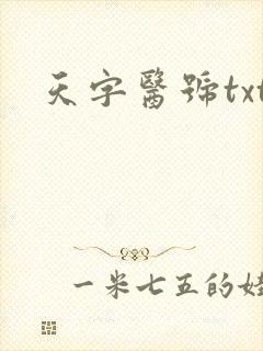 天字医号txt