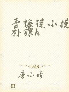 青梅从小摸到大补课h