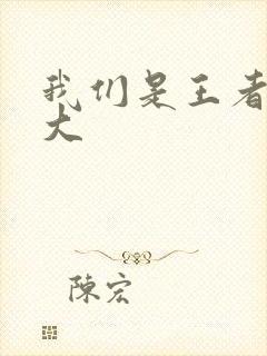 我们是王者立海大