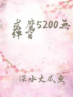 求魔5200无弹窗