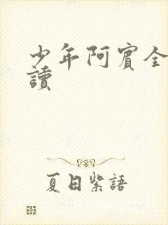 少年阿宾全集阅读