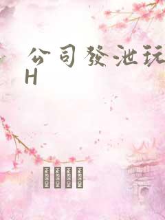 公司发泄玩具lH