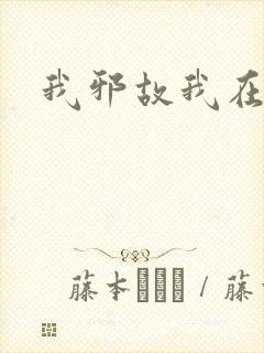 我邪故我在
