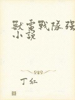 兽电战队强龙者小说