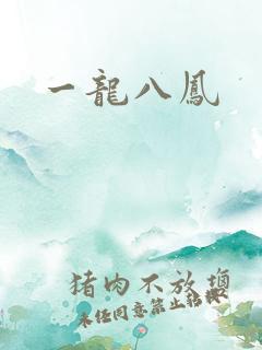 一龙八凤