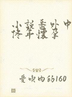 小说番外中结局佟年怀孕