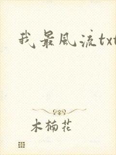 我最风流txt