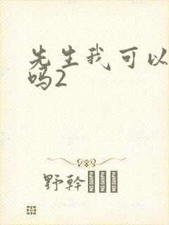 先生我可以上你吗2