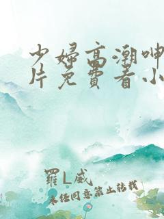 少妇高潮呻吟A片免费看小说