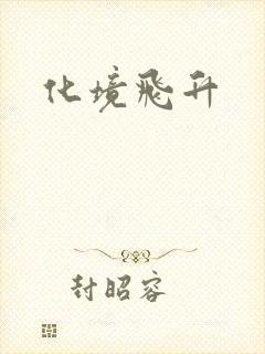 化境飞升