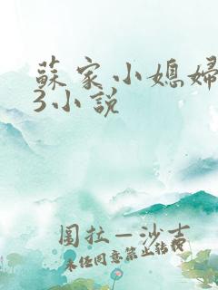 苏家小媳妇1V3小说