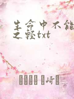生命中不能承受之轻txt