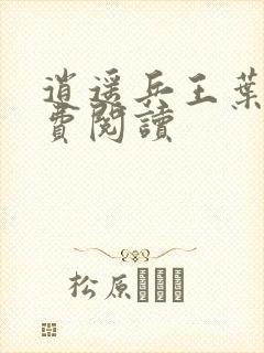 逍遥兵王叶成免费阅读