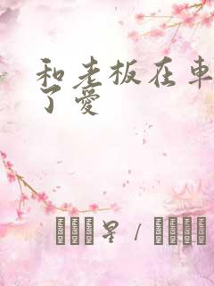 和老板在车里做了爱