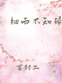 细雨不知归