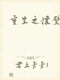 重生之怀璧其罪