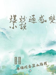 爆炒通感双胞胎小说