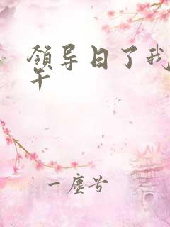 领导日了我一下午