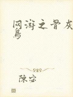 网游之骨灰级菜鸟