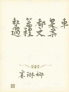 整篇都是车的肉过程文案