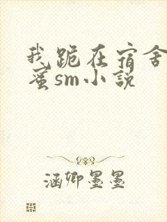 我跪在宿舍被闺蜜sm小说