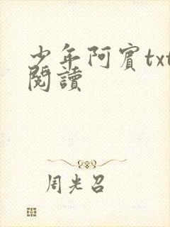 少年阿宾txt阅读