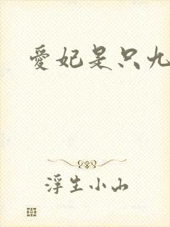 爱妃是只九尾猫