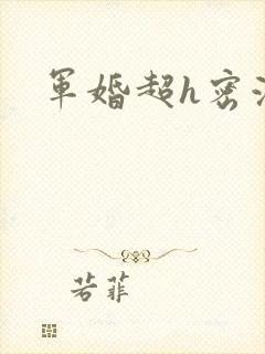 军婚超h密液