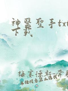 神医圣手txt下载