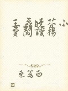 王磊晓芬小说免费阅读杨