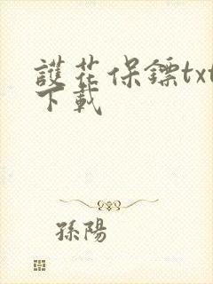 护花保镖txt下载