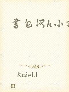 书包网h小说