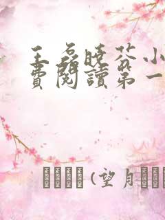 王磊晓芬小说免费阅读第一章