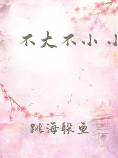 不大不小 小说