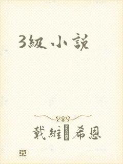 3级小说