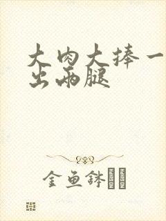 大肉大捧一进一出两腿