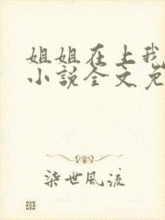 姐姐在上我在下小说全文免费阅读