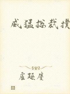 威猛总裁扑娇妻