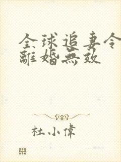 全球追妻令老婆离婚无效