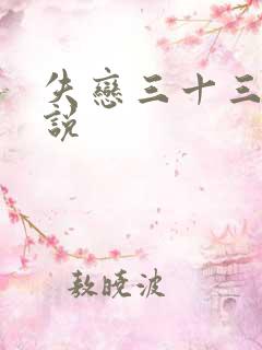 失恋三十三天小说