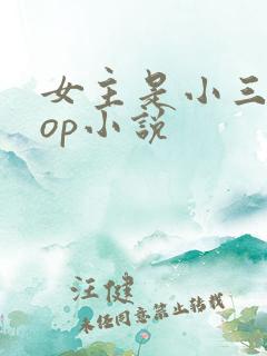 女主是小三的pop小说