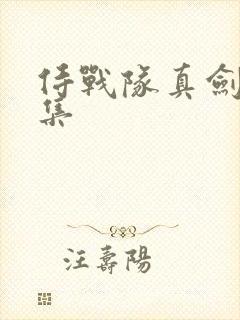 侍战队真剑者全集