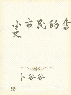 小市民的奋斗燃文