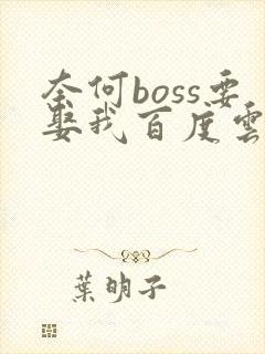 奈何boss要娶我百度云